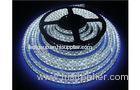 IP65 RGB 3528 SMD LED Strip Light , Waterproof DC12V 60leds/m for Kitchen , Bathroom