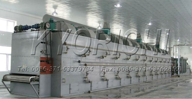 Continues electric fruit drying machine equipment