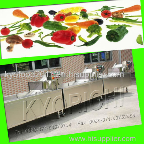 Continues electric fruit drying machine equipment