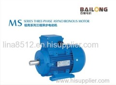 MS series three phase induction motor