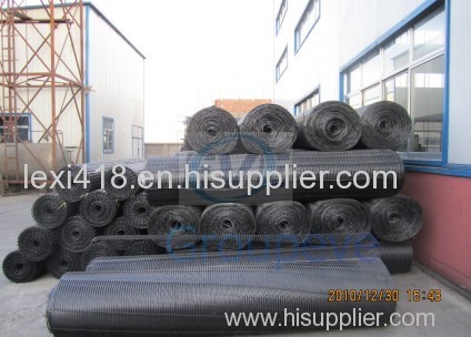 Earthwork Material PP Uniaxial Geogrid with good quality
