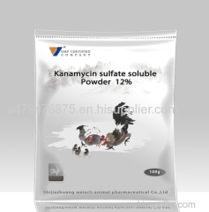 poultry medicine veterinary medicine