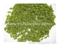 Green Raisins (Sourav Food And Agro)