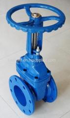 Rising stem Resilient Seated Gate Valve