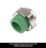 PPR pipe union fittings for water supply