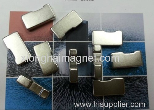 Irregular Rare Earth Magnets