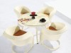 Rattan outdoor furniture -----dining table