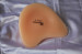 silicone mastectomy breast form