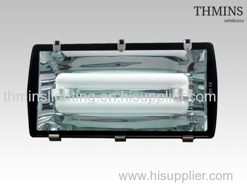 40W-300W Induction Lamp Tunnel Light manufacturer THMINS