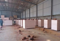 Hebei Wangda Wood Industry Co.,ltd.