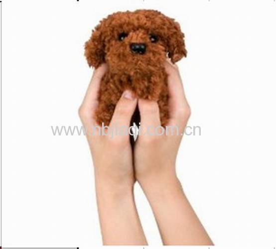 HOT SELL TEACUP POODLE