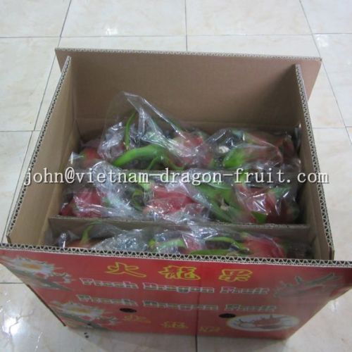 Fresh Dragon Fruit Vietnam