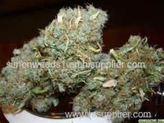 AAA+++ OG kush, Bubba kush and others for sale at cheap prices.