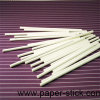 paper lollipop stick pop