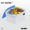 Fruit and vegetable Ultrasonic cleaner for household