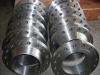 carbon steel forged WN flange