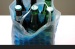 Bottle Cooler for Beer and Wine