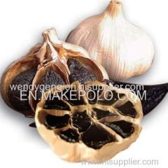 Black Garlic Black Garlic