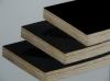 china -film faced plywood,