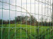 Holland Wire Mesh wave-shaped wire mesh or wavy mesh
