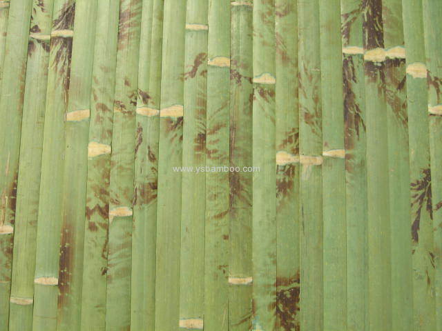 Anji Bamboo Pattern Wallpapers