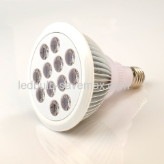 14W E27 PAR38 LED bulb