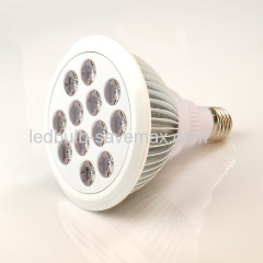 18W E27 PAR38 LED flood bulb