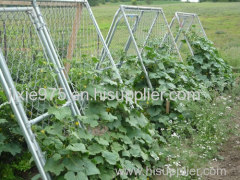 Chain link trellis be used as garden fence or trellis fence