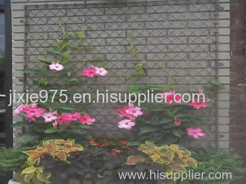 Chain link trellis be used as garden fence or trellis fence