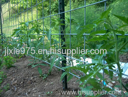 Plastic trellis an inexpensive option of trellis netting