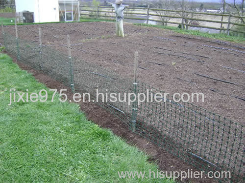 Pole bean trellis makes your garden neat and productive