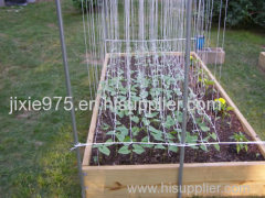 Tomato trellis gives you four benefits to your tomato plants