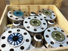 PLATE STAINLESS STEEL FLANGES