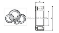 SL183004 series full complement cylindrical roller bearing