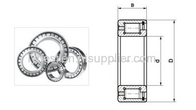 full complement cylindrical roller bearing