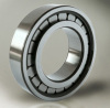 SL182205 full complement cylindrical roller bearing