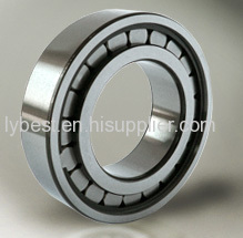 SL182205 full complement cylindrical roller bearing