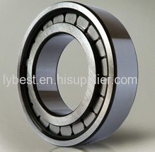 SL183022 full complement cylindrical roller bearing