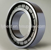SL182920 full complement cylindrical roller bearing