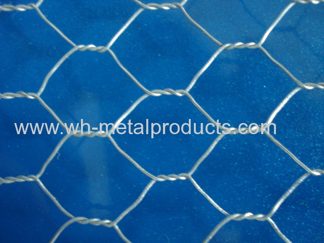 poultry farm chicken mesh