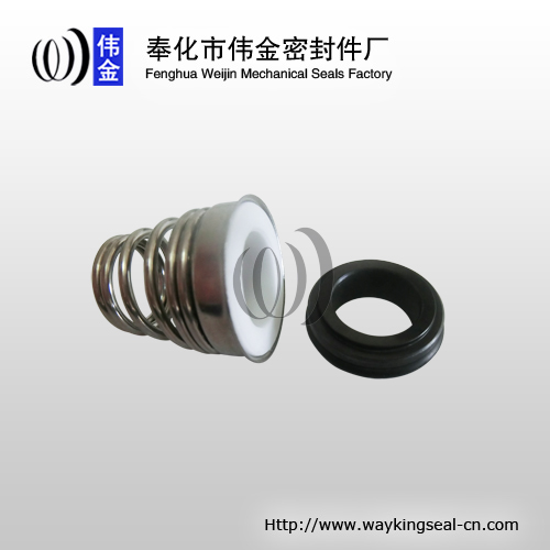 mechanical face seal for pumps