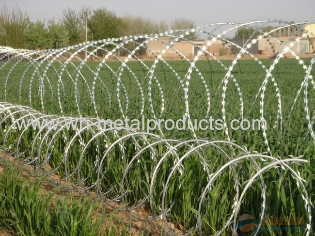 hot dipped galvanized razor wire supply