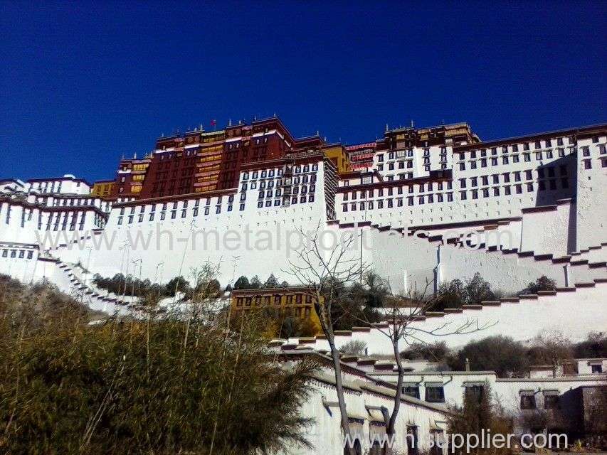 the Potala Palace