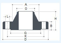 ANSI Stainless Steel Welding Neck Flange