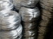 factory supply galvanized steel wire