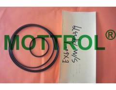 EX60-1 SWING MOTOR SEAL KIT