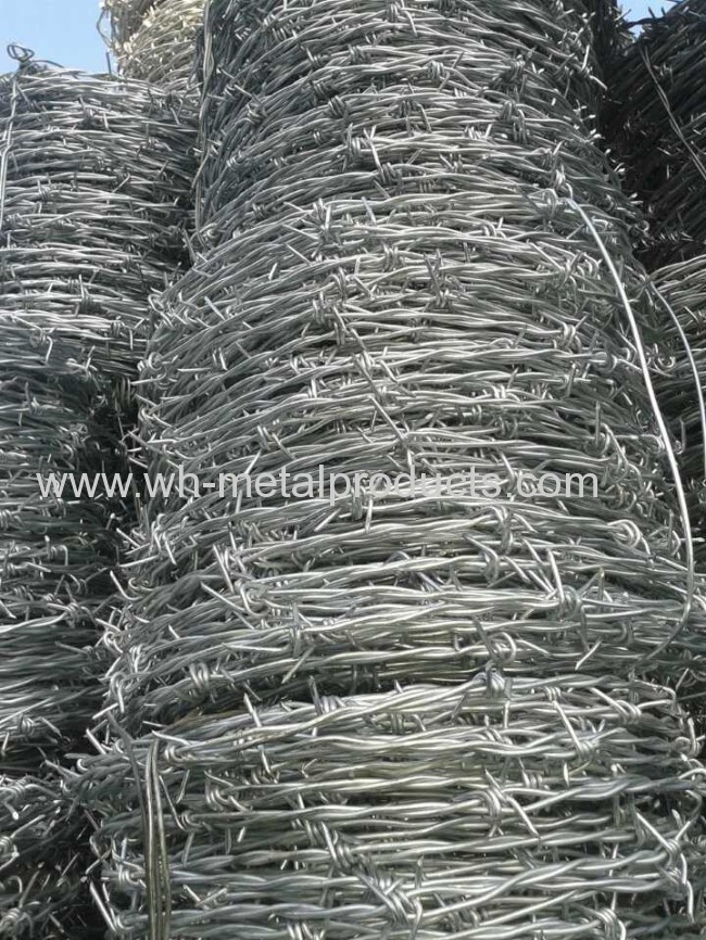 economical galvanized barbed wire