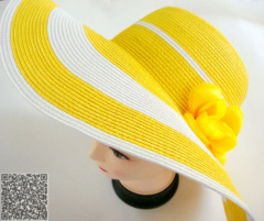 SS14 Fashion lady wide brim hats