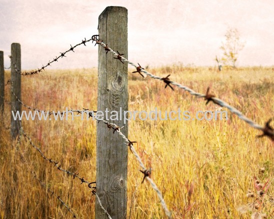 ranch fence barb wire