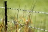 ranch barbed wire fence